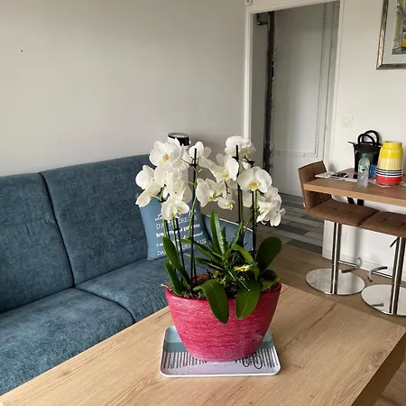 Escapade Vue Bénerville-sur-Mer