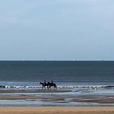 公寓 Escapade Vue Bénerville-sur-Mer