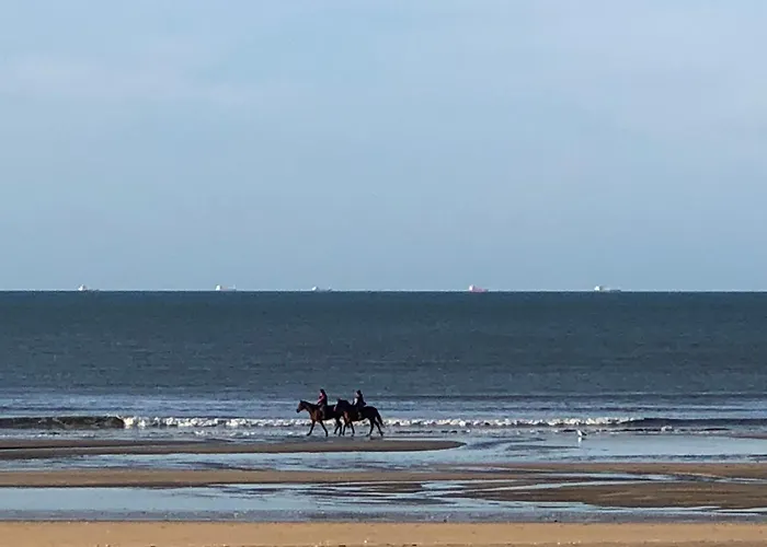 アパート Escapade Vue Bénerville-sur-Mer